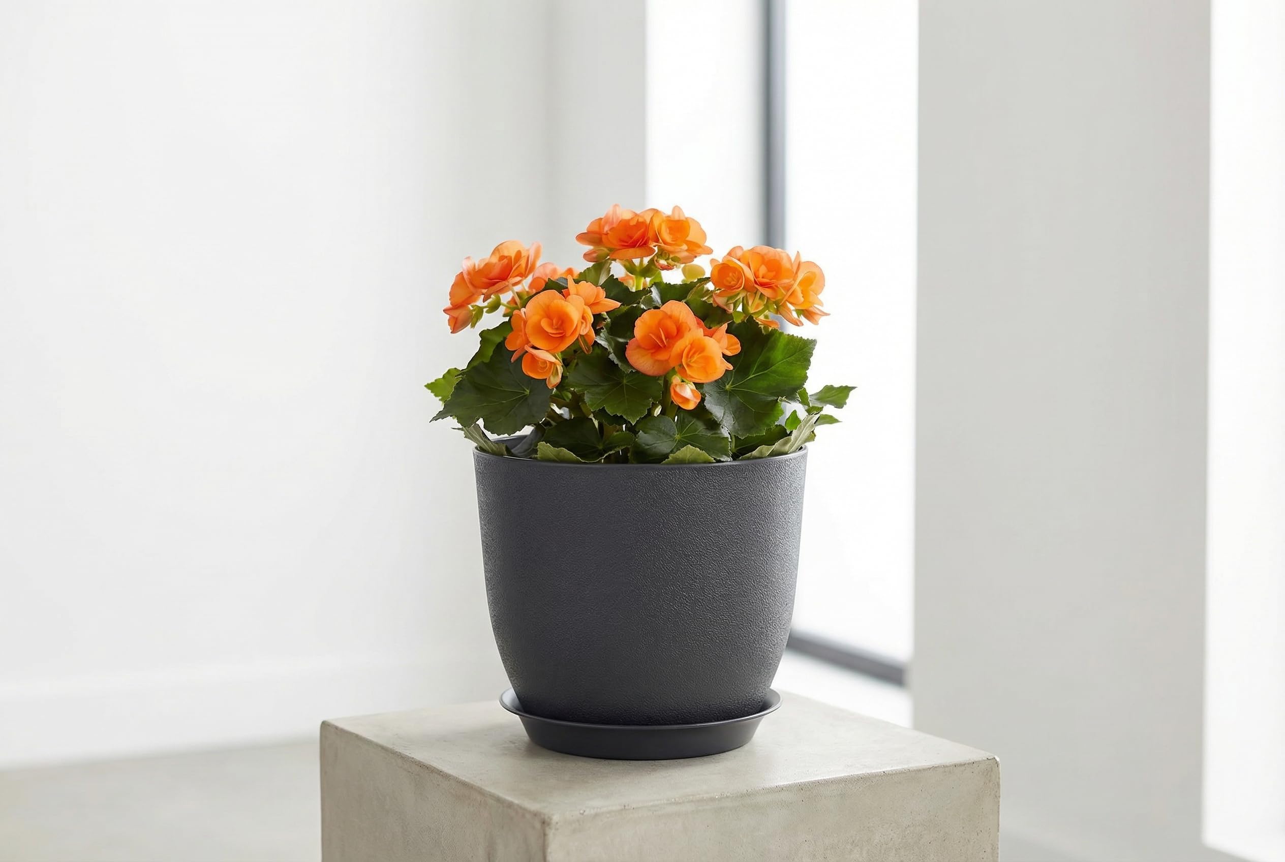 Close-up of XQSHPDM 8 Inch plastic planter with drainage hole