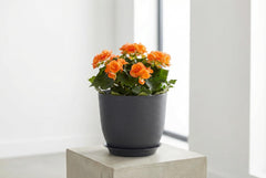 Close-up of XQSHPDM 8 Inch plastic planter with drainage hole