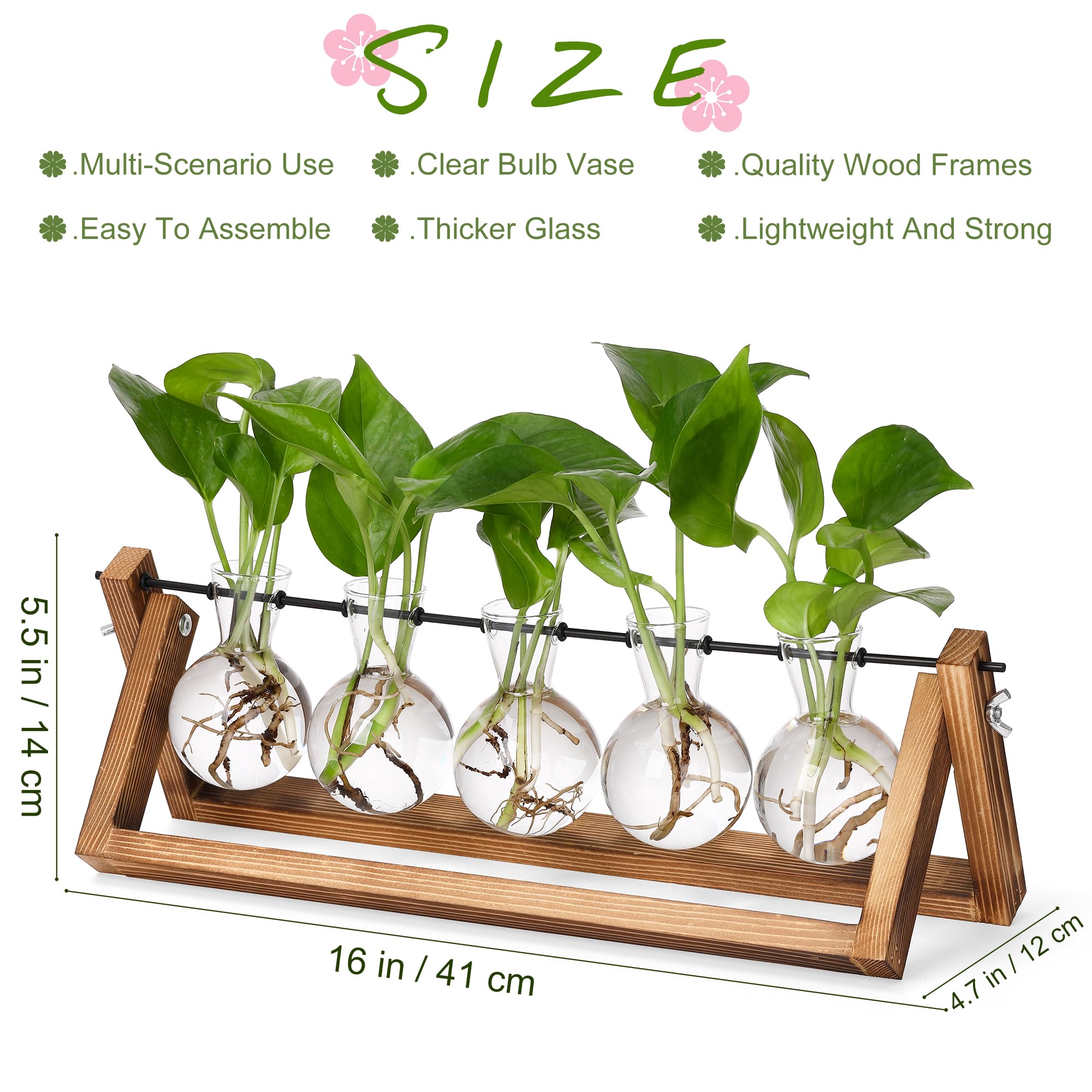 Close-up of YIBOT glass bulb vases for plant propagation
