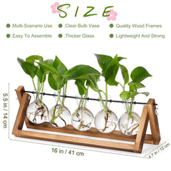 Close-up of YIBOT glass bulb vases for plant propagation