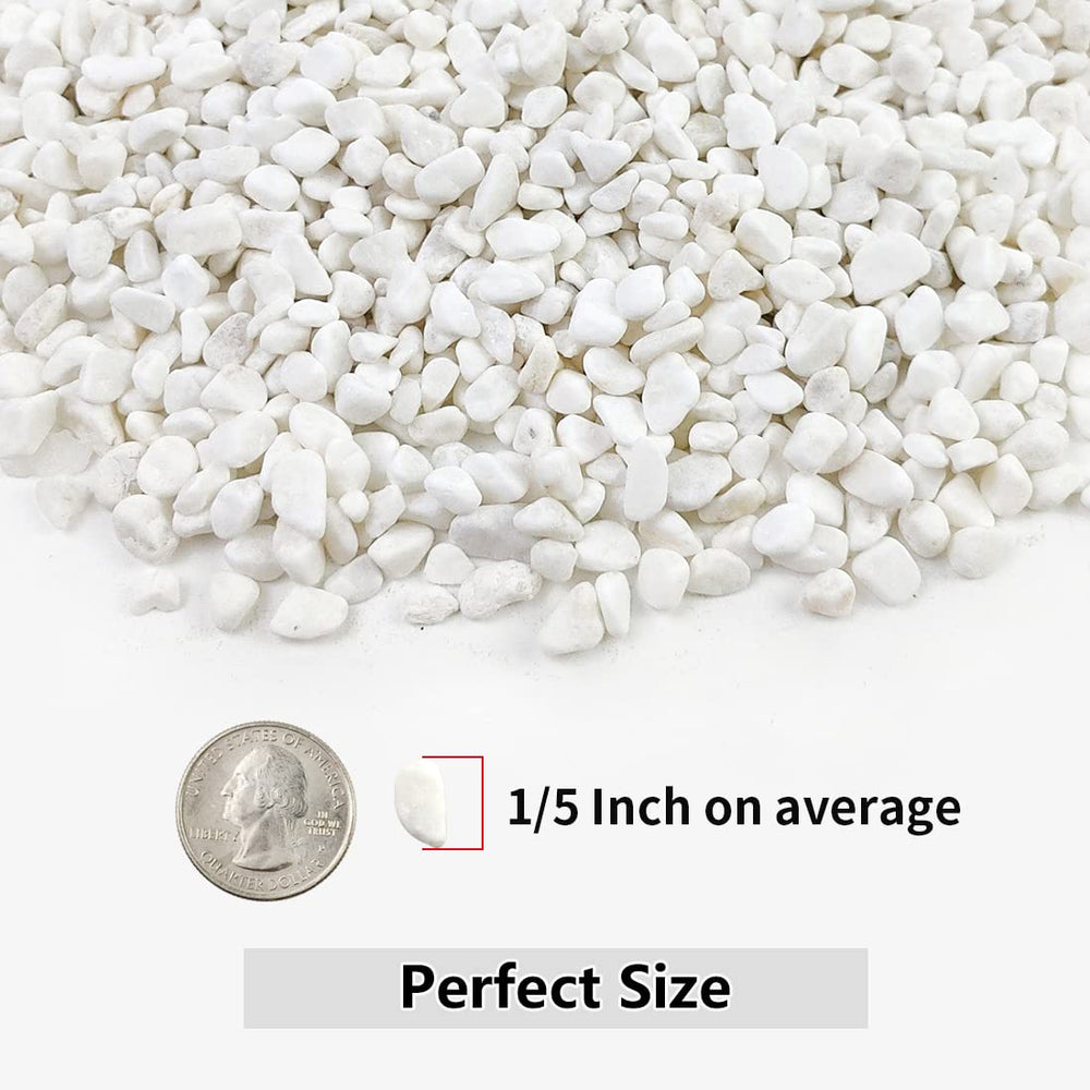 Close-up of YISZM 1/5 inch white gravel pebbles
