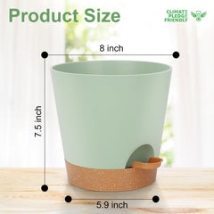 Close-up of YNNICO drainage holes in planter