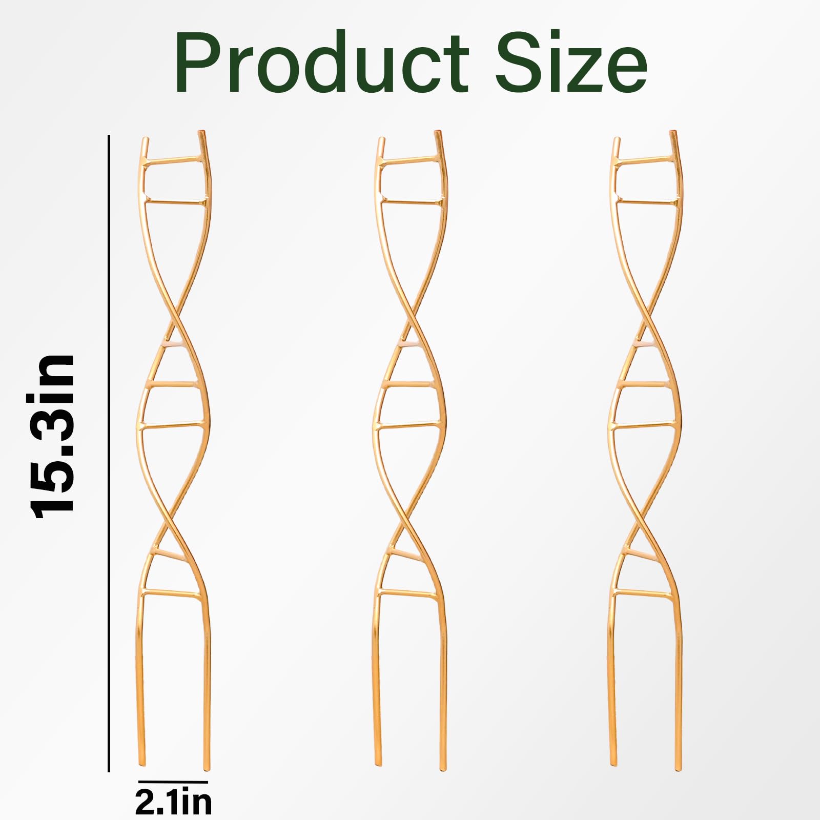 Close-up of Yohsnor DNA Plant Trellis spiral design
