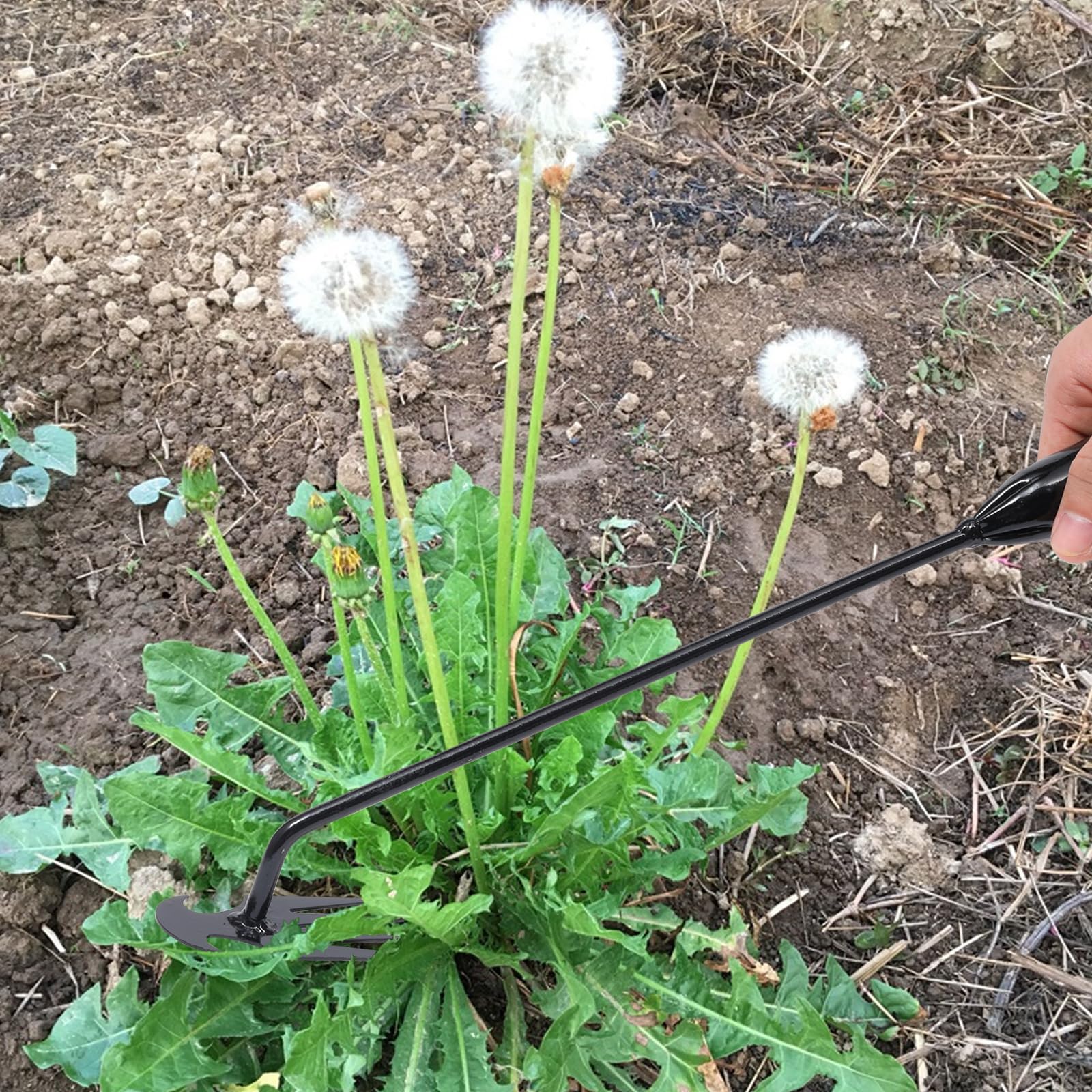 Close-up of Young4us weeder tool tines
