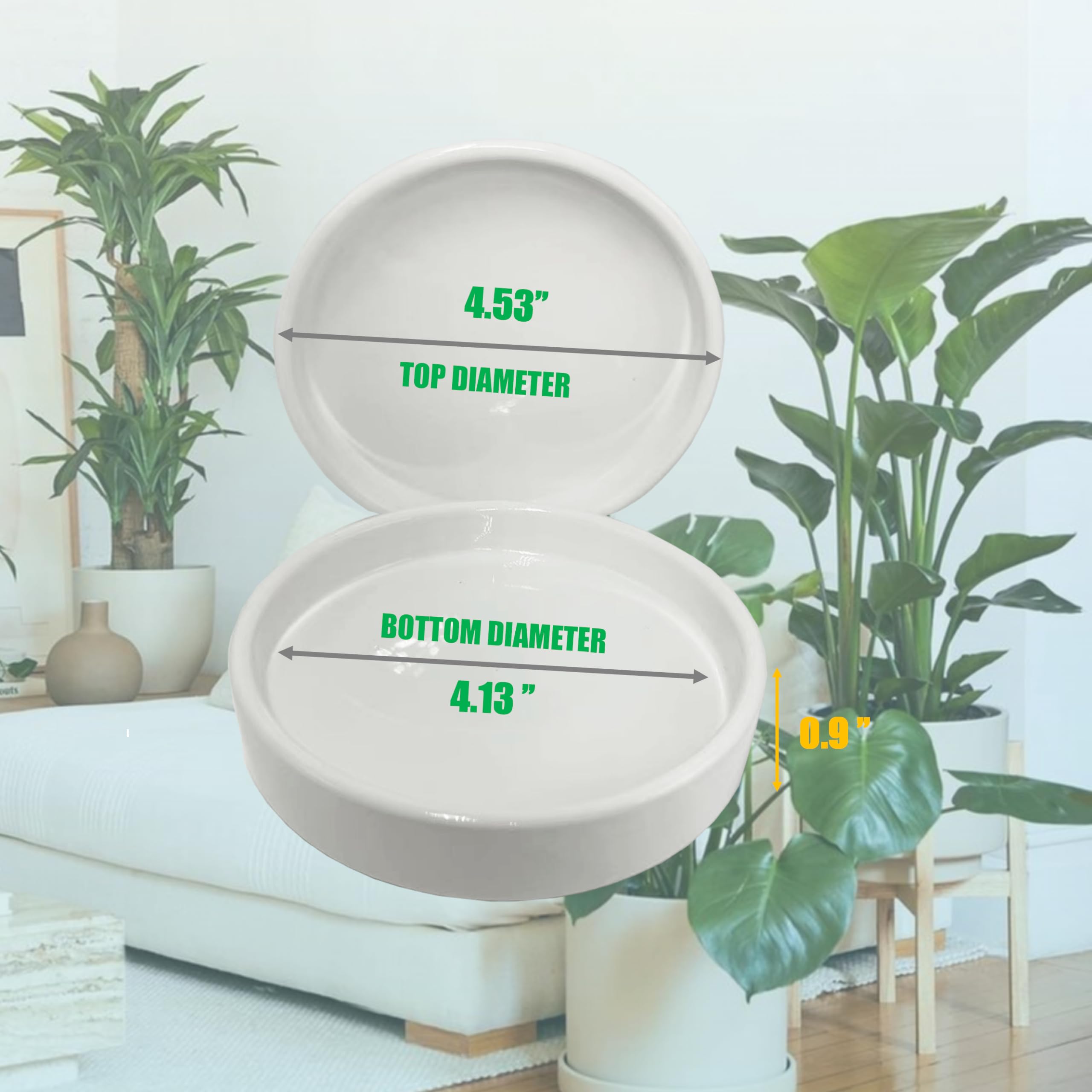 Close-up of Yukfona ceramic plant saucer showing smooth surface and round design