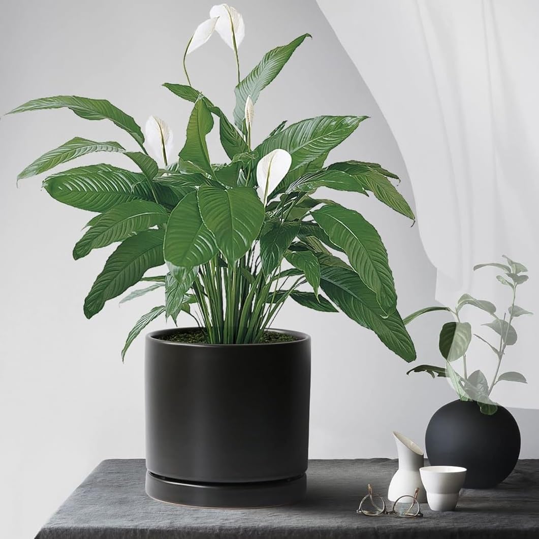 Close-up of Yukfona Ceramic Plant Saucer Tray texture