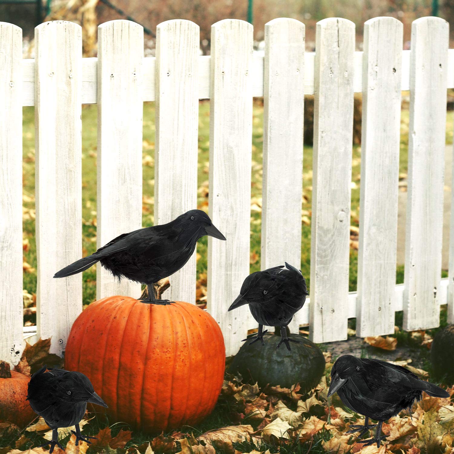 Close-up of ZAUGONTW Halloween Black Crow with detailed feathers