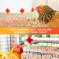 Close-up of ZenxyHoC chicken waterer nipple showing stainless steel pin