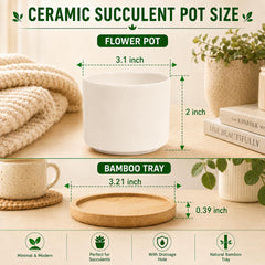 Close-up of ZOUTOG ceramic pot drainage hole and bamboo tray