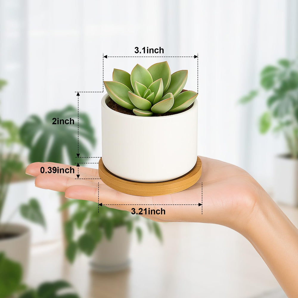 Close-up of ZOUTOG ceramic succulent pot with drainage hole
