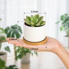 Close-up of ZOUTOG ceramic succulent pot with drainage hole
