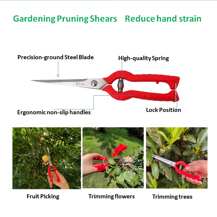 Close-up of Zsling stainless steel blade on pruning shears