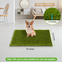 Close-up view of CooRug artificial grass texture