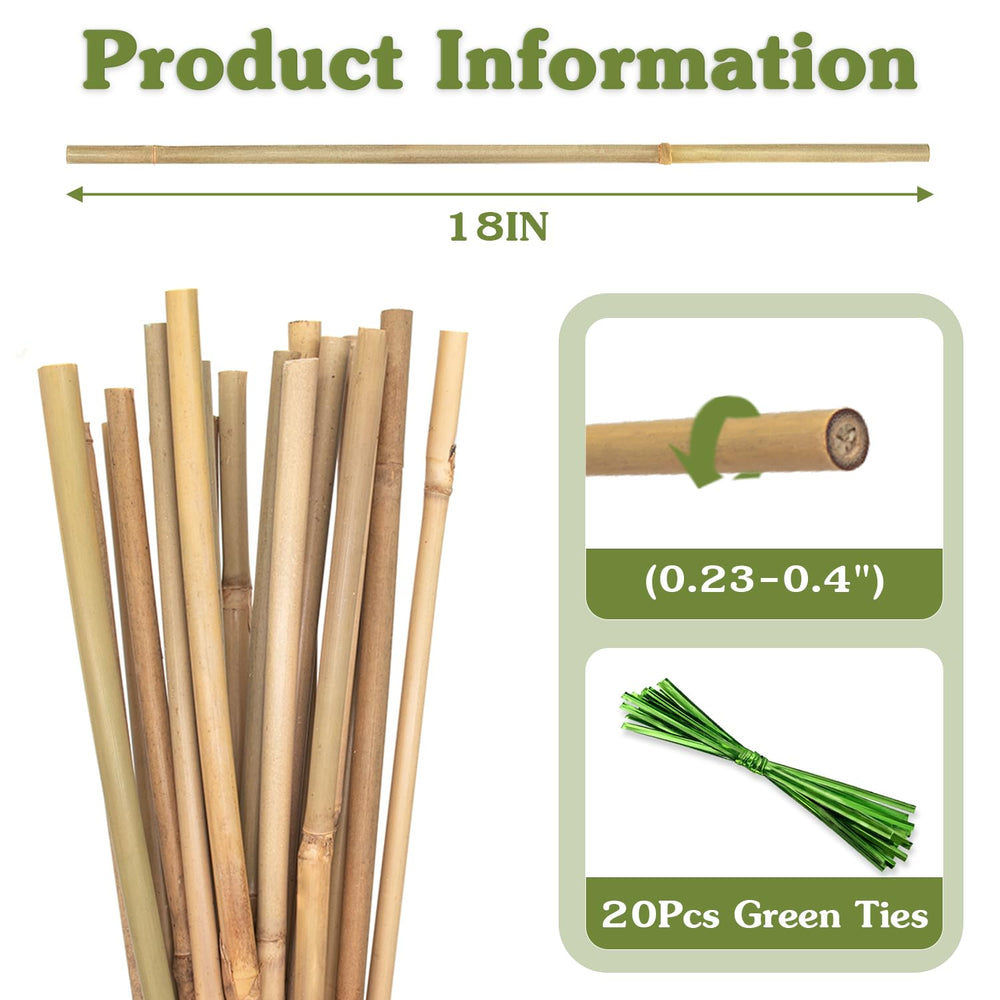 Close-up view of HAINANSTRY bamboo stakes with green ties