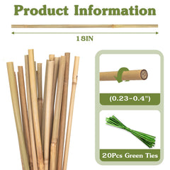 Close-up view of HAINANSTRY bamboo stakes with green ties