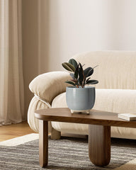 Close-up view of LE TAUCI ceramic plant pot with drainage hole mesh pad