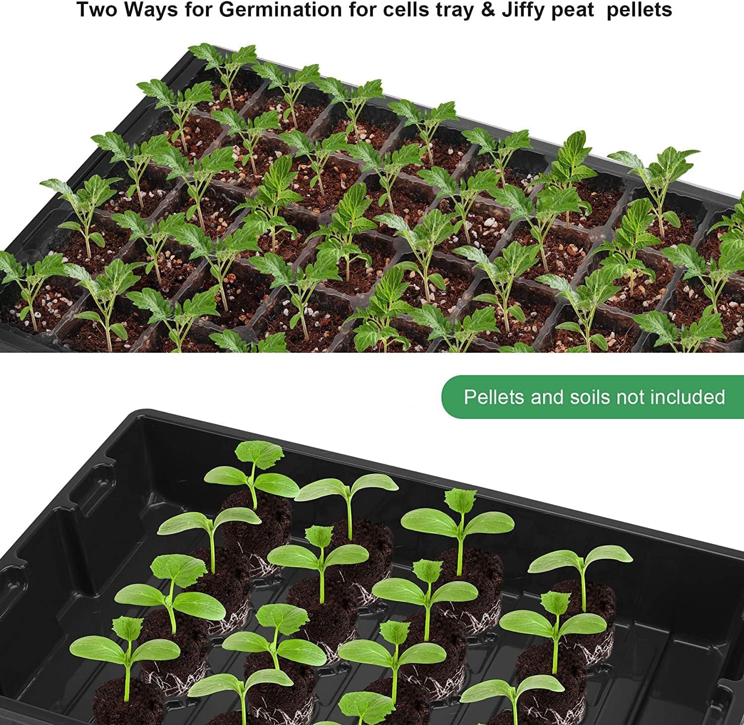 Close-up view of MIXC seed tray with plant labels