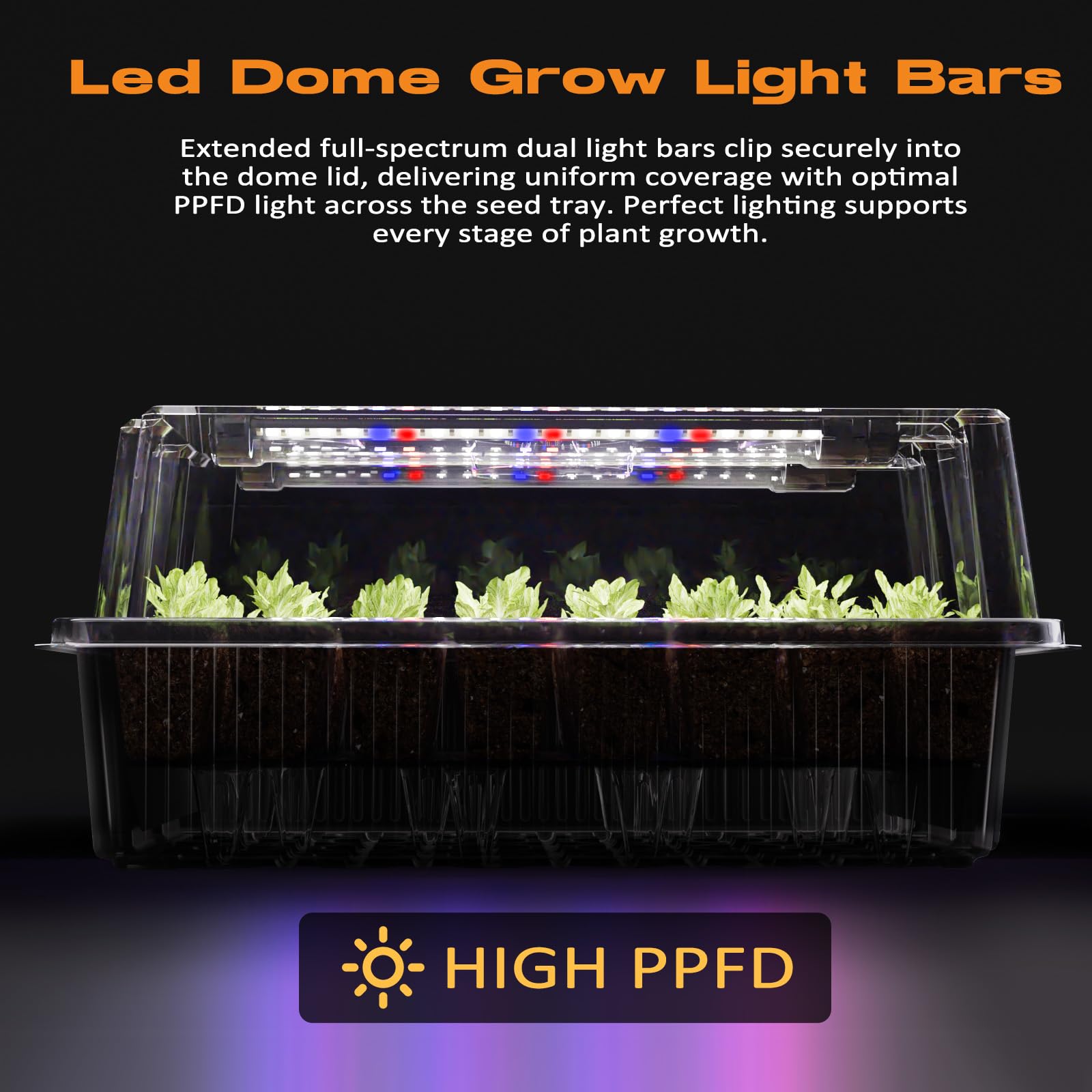 Close-up view of Patigrow seed tray with seedlings and grow light
