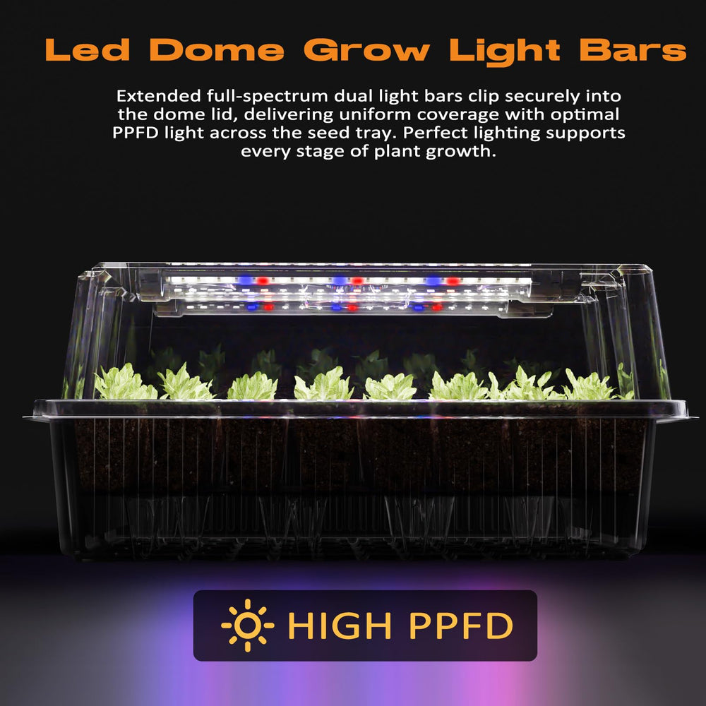 Close-up view of Patigrow seed tray with seedlings and grow light