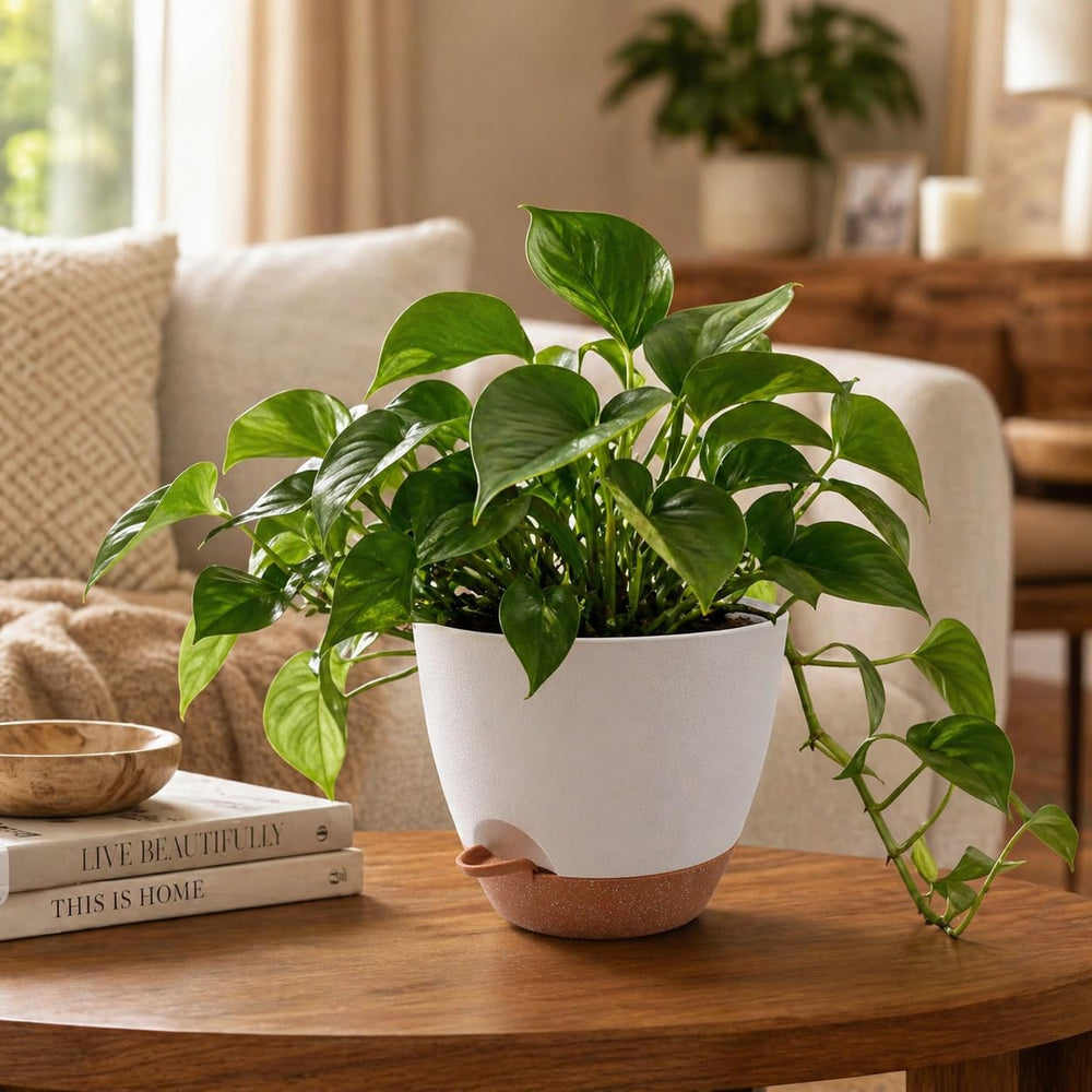 Close-up view of TYMENSH 12 inch self-watering pot