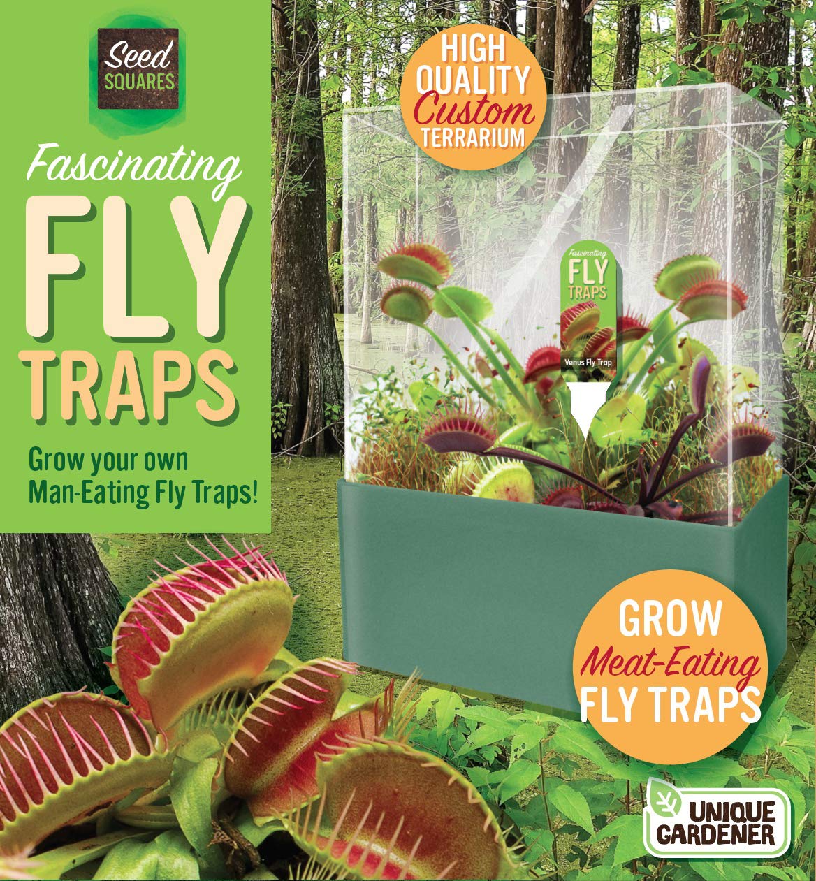 Close-up view of Venus Fly Trap seeds