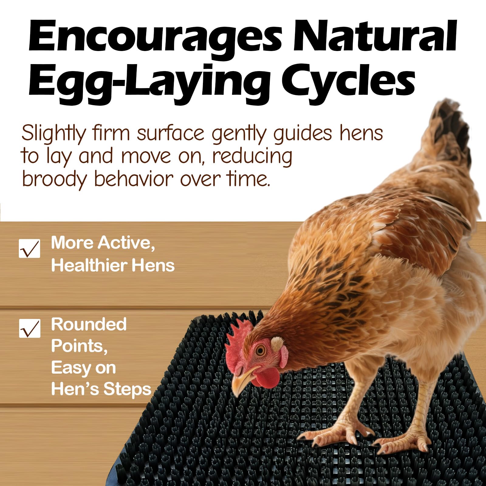 CLUCKHUB nesting pads placed in a poultry nesting box
