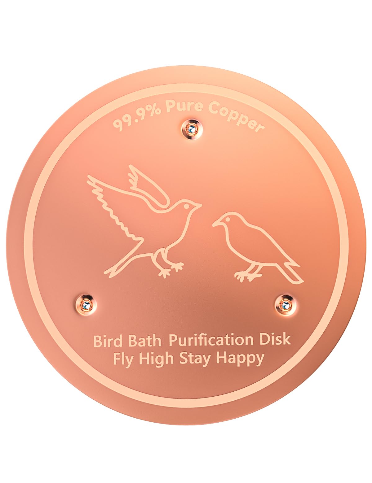 CNARIO Copper Bird Bath Disk 10cm front view