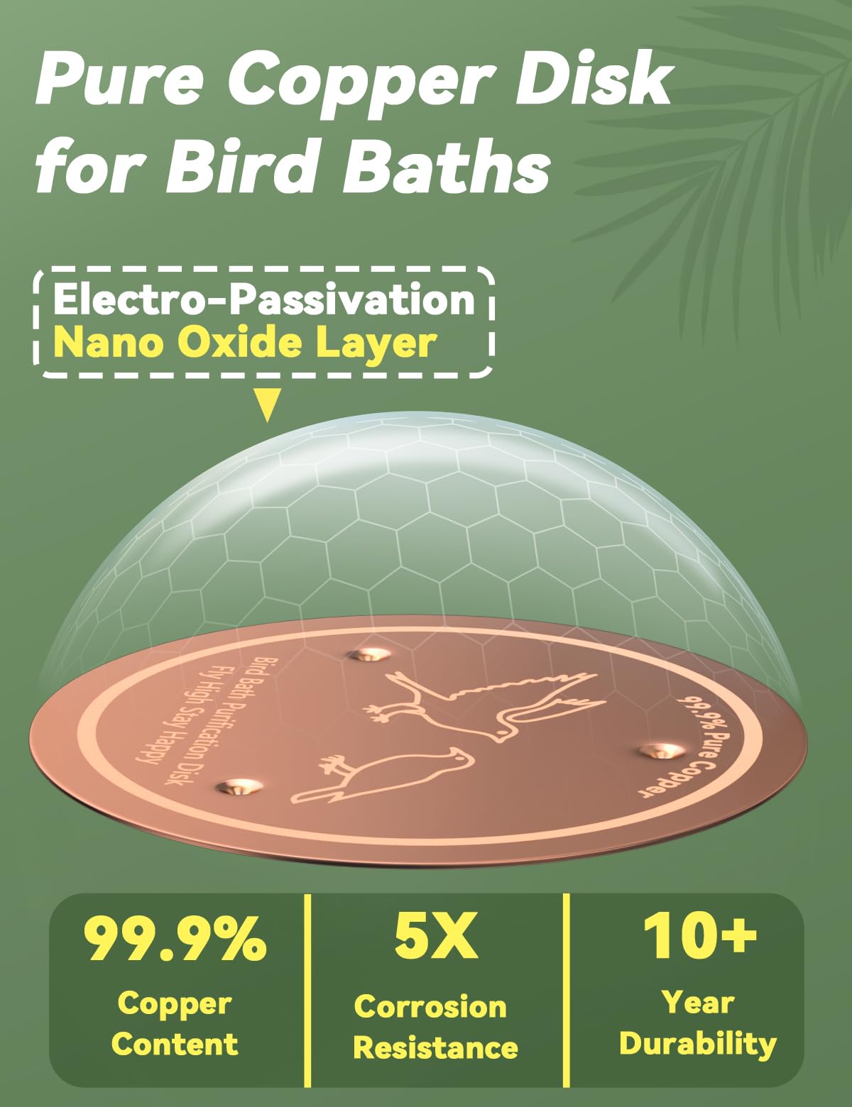CNARIO Copper Bird Bath Disk placed in a bird bath