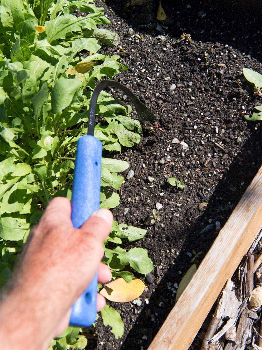 CobraHead Original Weeder in a garden setting