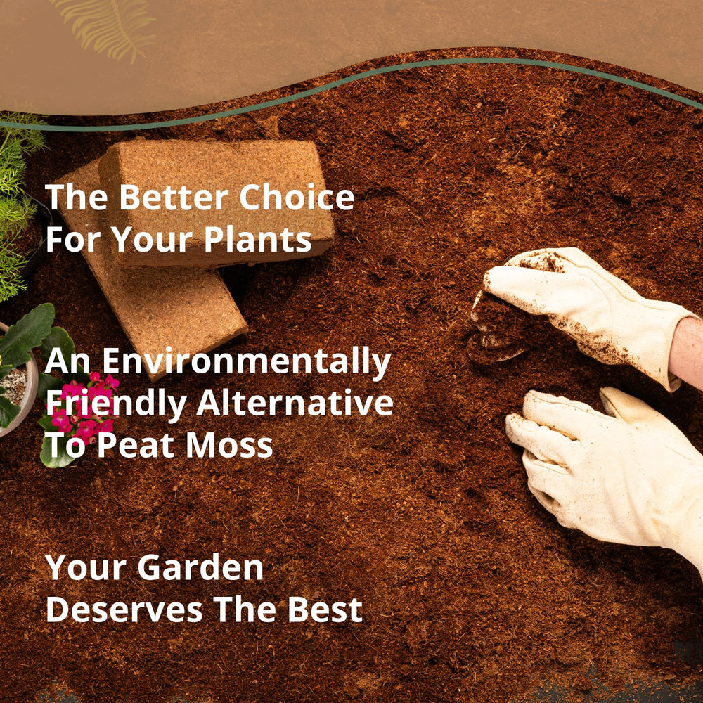 Coco Bliss Coco Coir bricks in use for seed starting