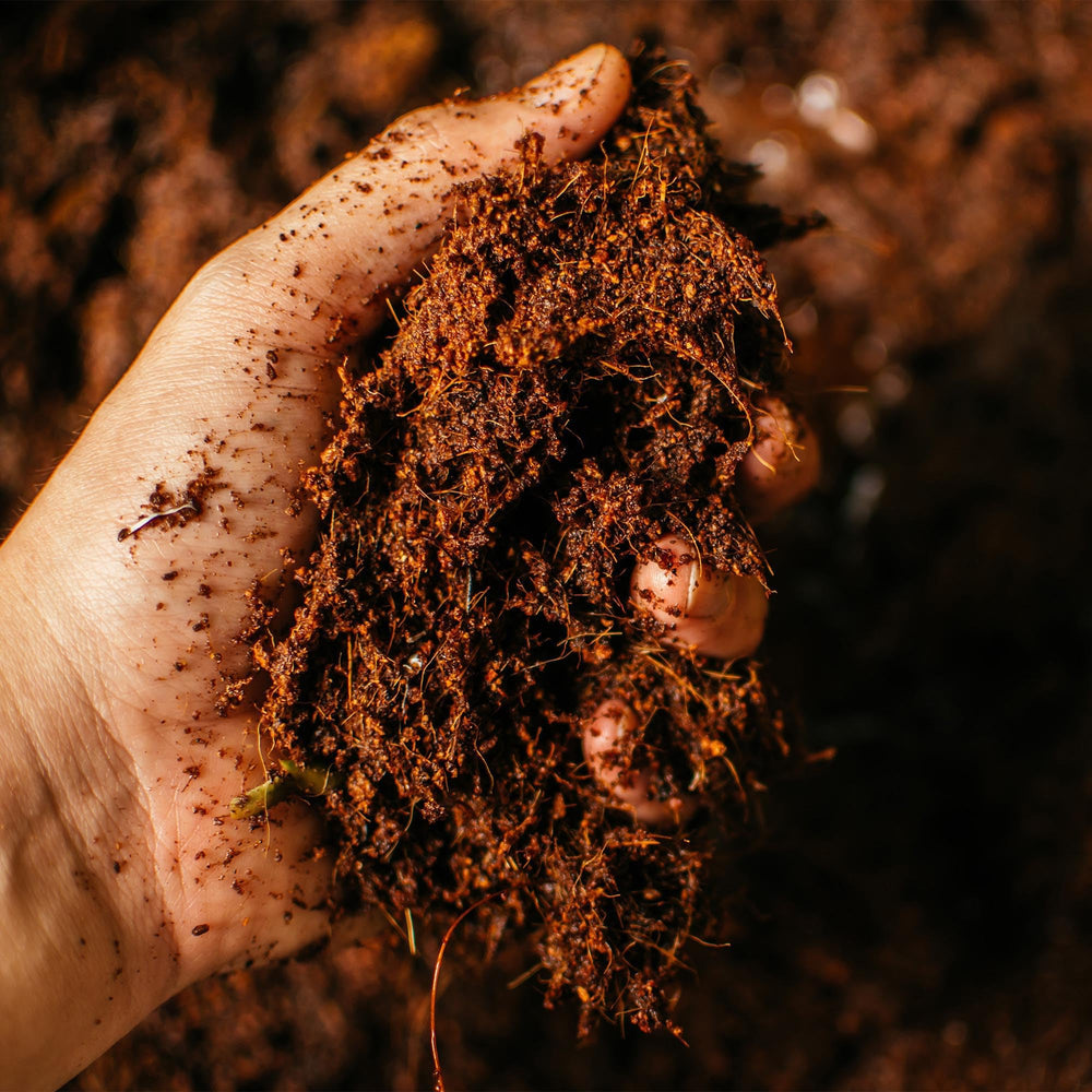 Coco Bliss Coco Coir displaying organic material