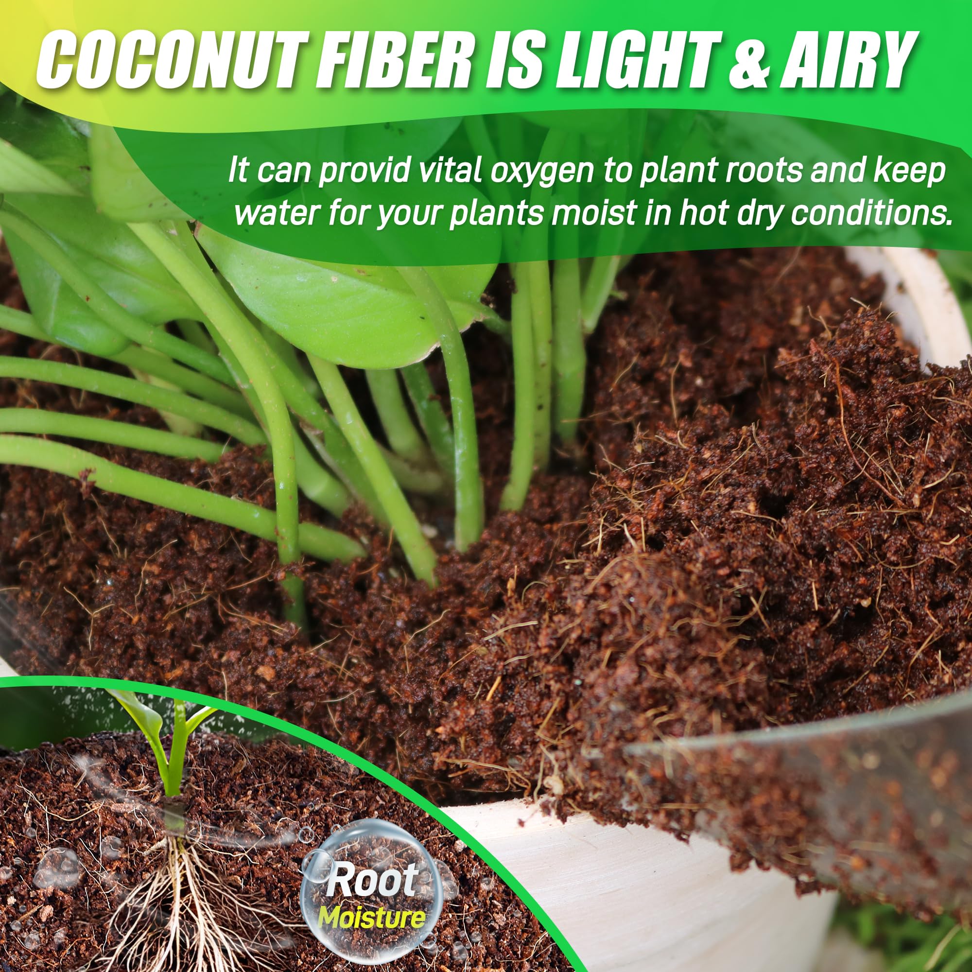 Coco coir brick with potted plants