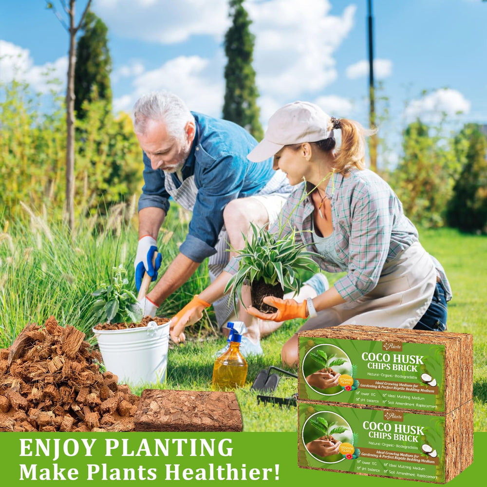 Coco coir chips used in a potted plant