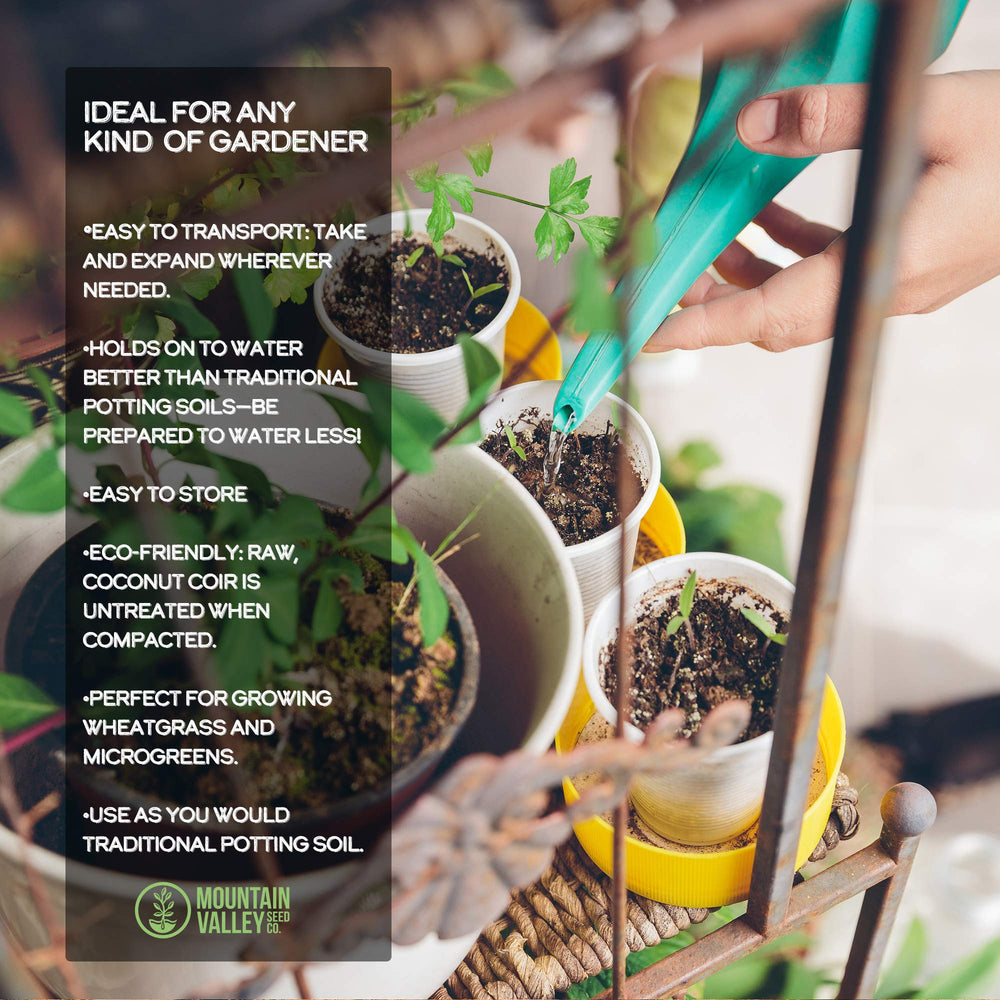 Coco Coir used in a container garden