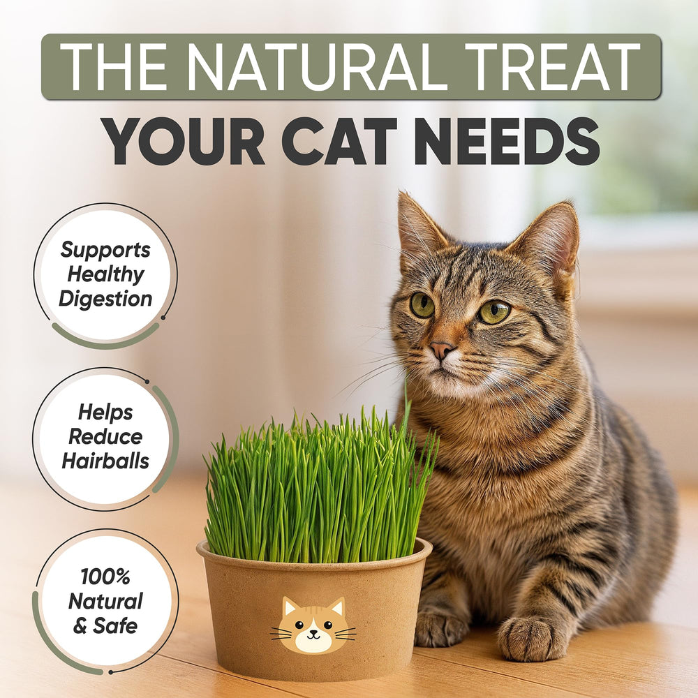 Coconut coir soil discs for AVERGO Cat Grass Kit