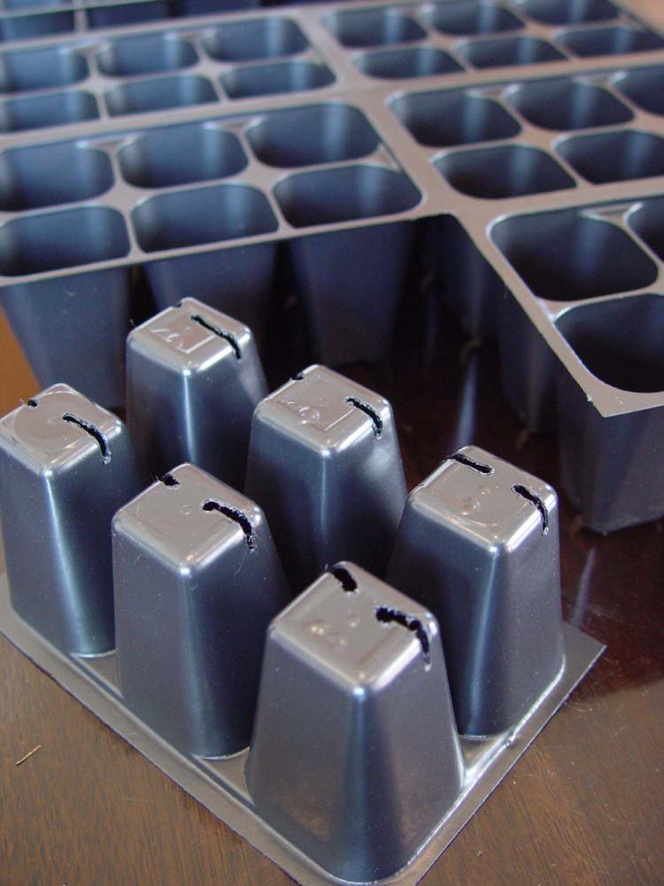 Coconut Oasis Seedling Starter Trays with plant labels included