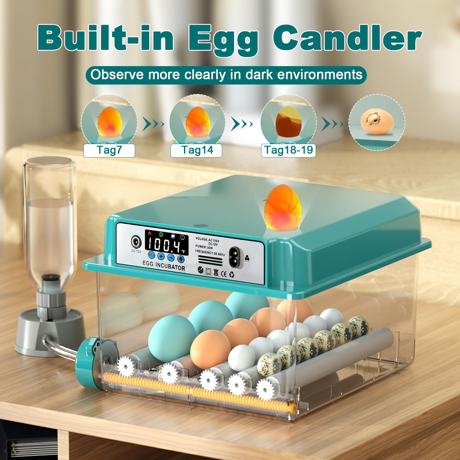 CoInceptus 16 Egg Incubator accessories included