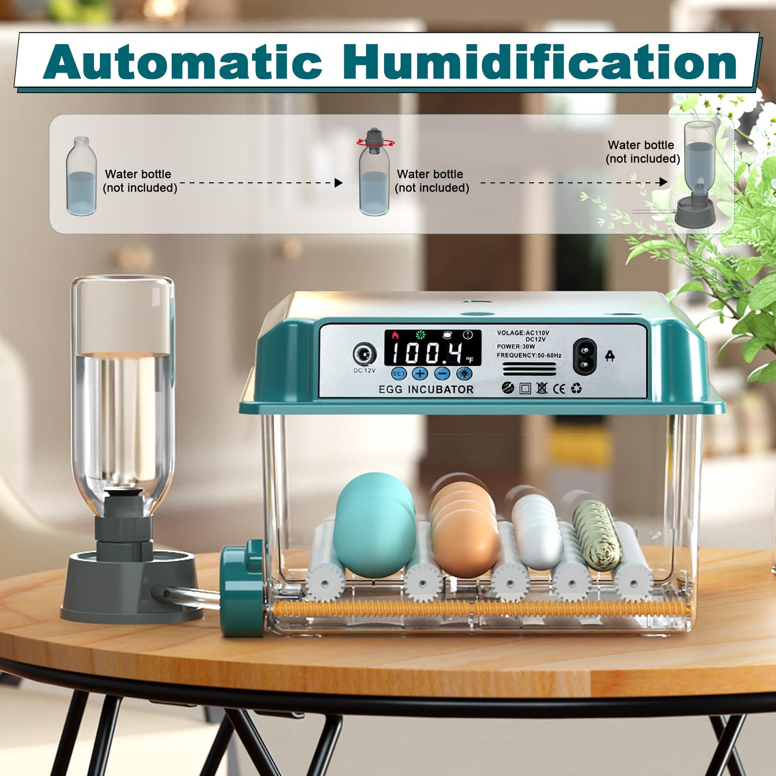 CoInceptus 16 Egg Incubator back view with water bottle system