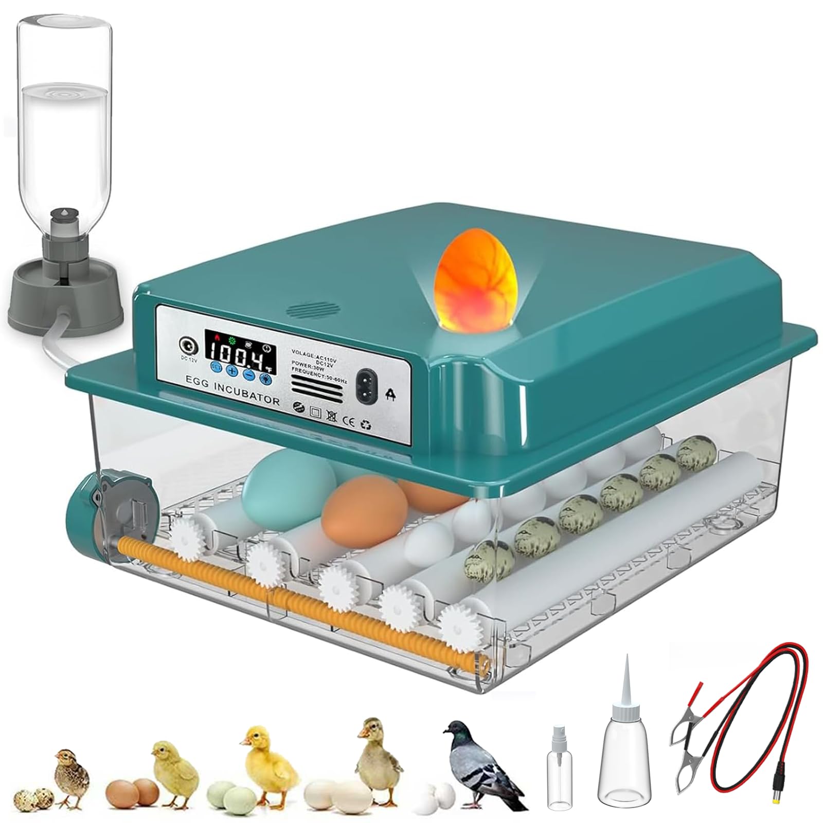 CoInceptus 16 Egg Incubator front view