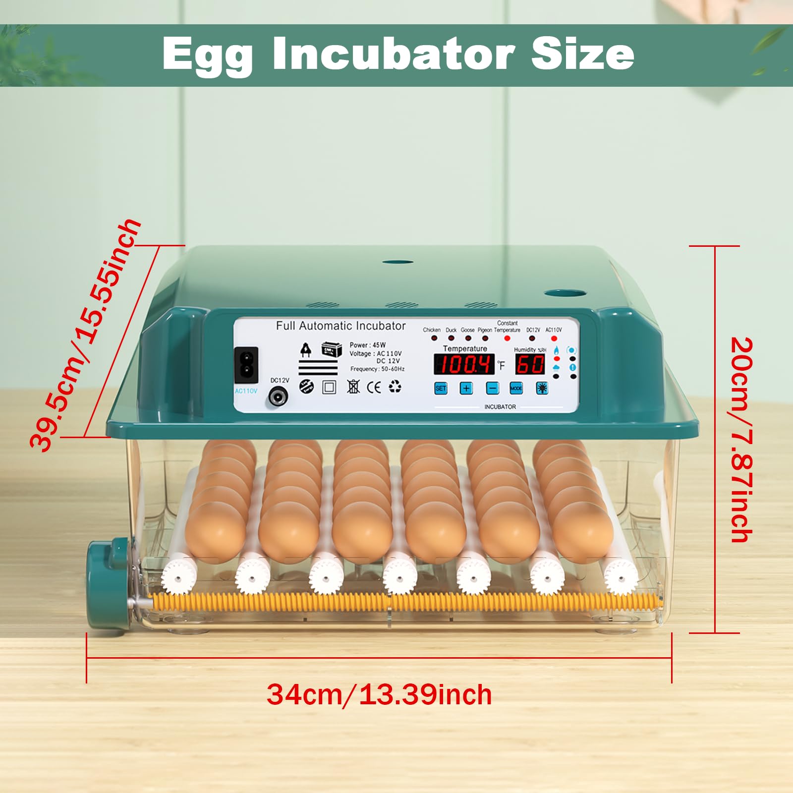 CoInceptus 36 Egg Incubator in a classroom setting