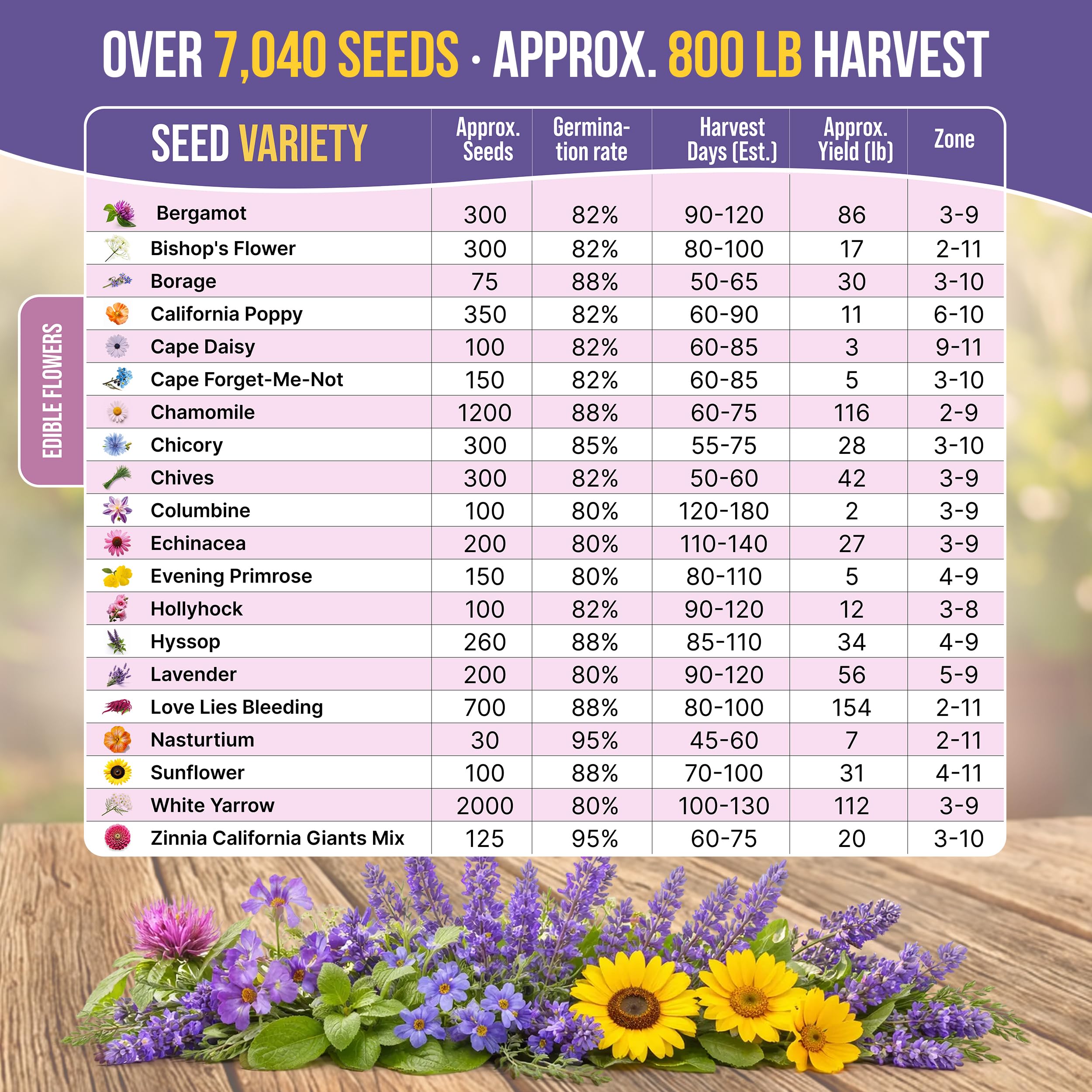 Colorful assortment of edible flower seeds