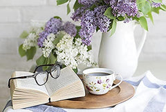 Colorful display of flower seeds from Black Duck Brand