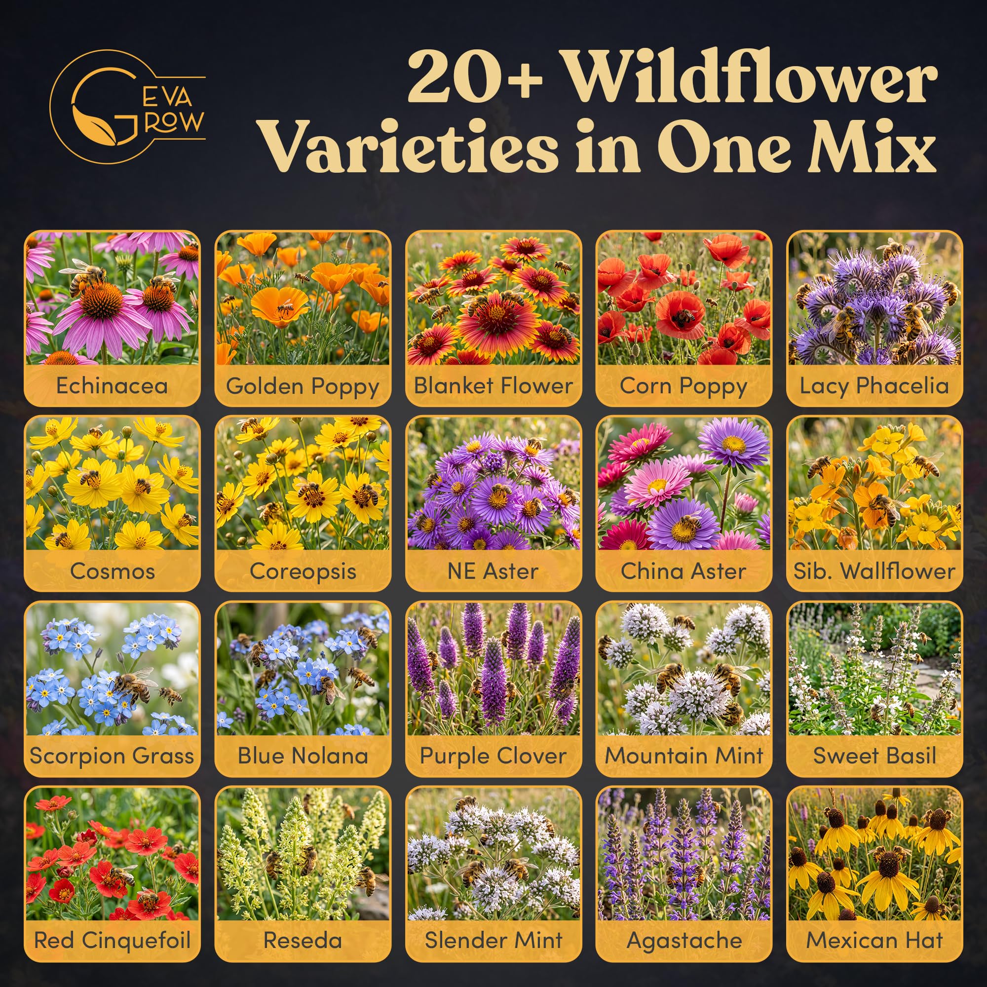 Colorful flowers from GevaGrow Honey Bee Wildflower Mix