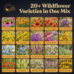 Colorful flowers from GevaGrow Honey Bee Wildflower Mix