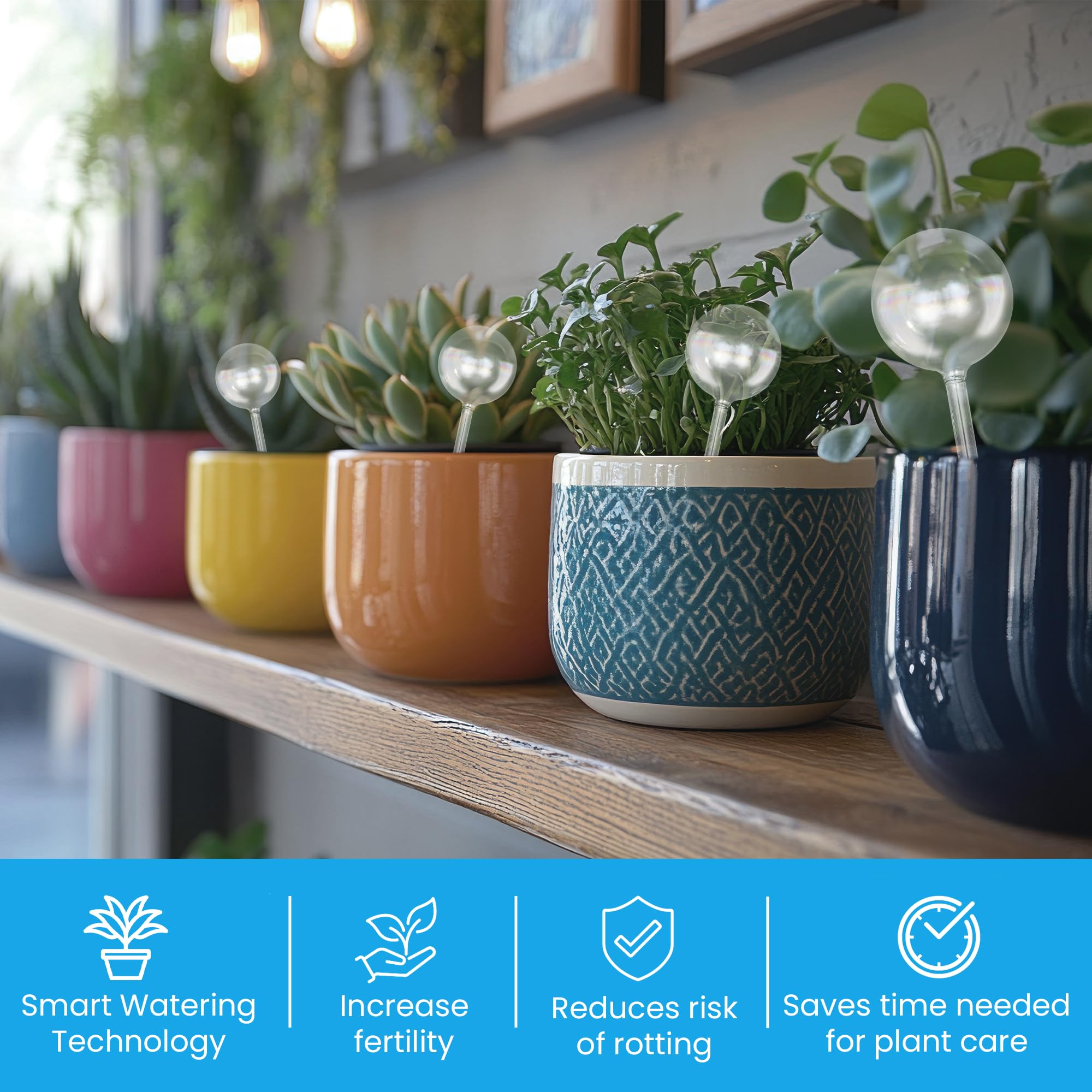 Colorful watering globe set for plant care