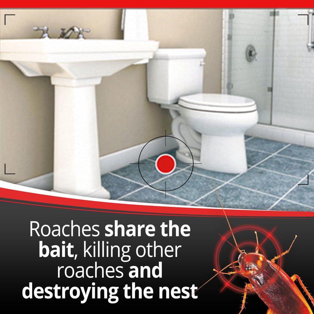 Combat Max roach bait station in a kitchen setting