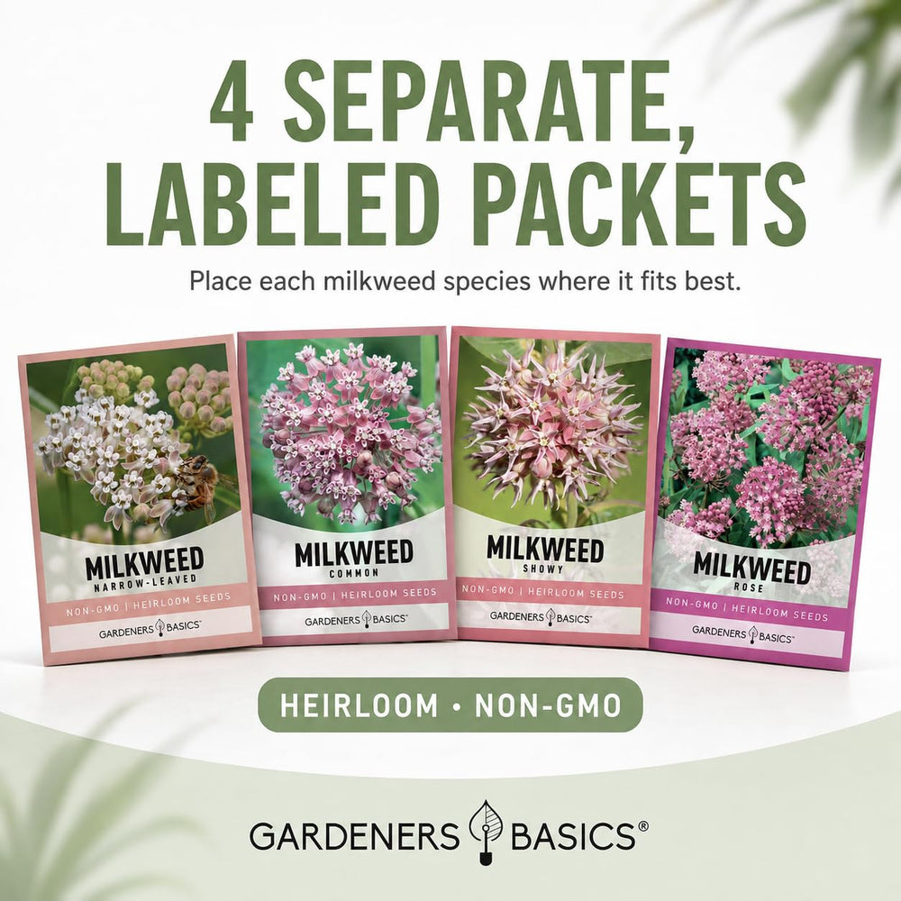 Common milkweed seeds packet from Gardeners Basics