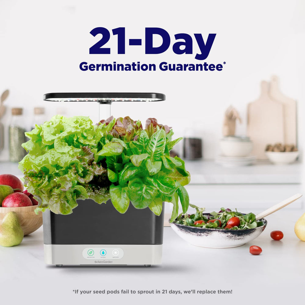 Compact countertop design of the AeroGarden Harvest