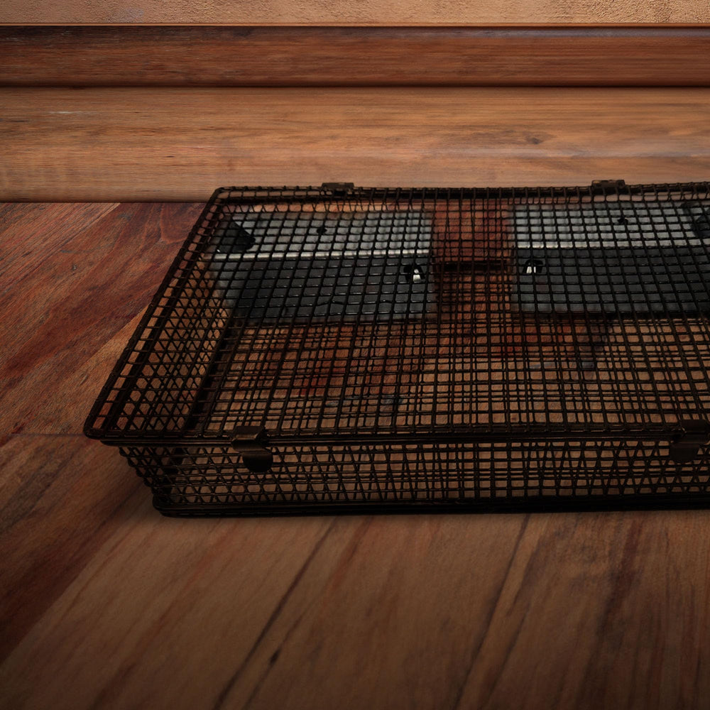 Compact design of Rugged Ranch Mousinator for easy transport