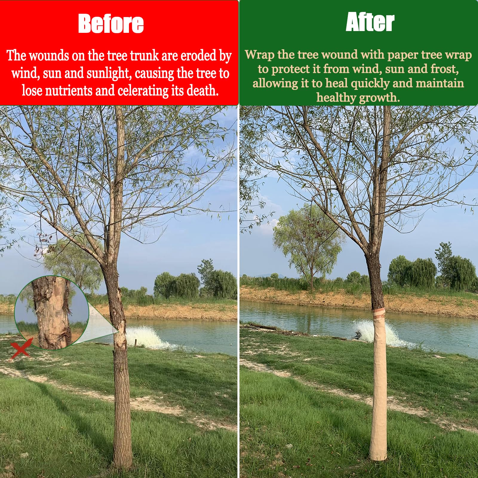 Comparison of tree wrap before and after application